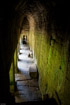 A moss-covered corridor with high vaulted ceiling in the Bayon temple, Angkor Wat, Cambodia