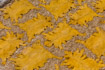 Dyed yellow goatskins are laid out on a bed of straw on a tannery rooftop in Fez, Morocco